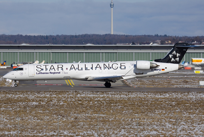 D-ACPQ LH CR7