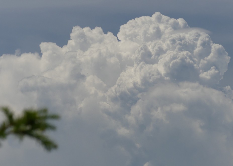 diese Cumuluswolken können sehr schnell wachsen (wenn sie nicht auf eine Sperrschicht trifft) wie an diesem Bild zu sehen ist.