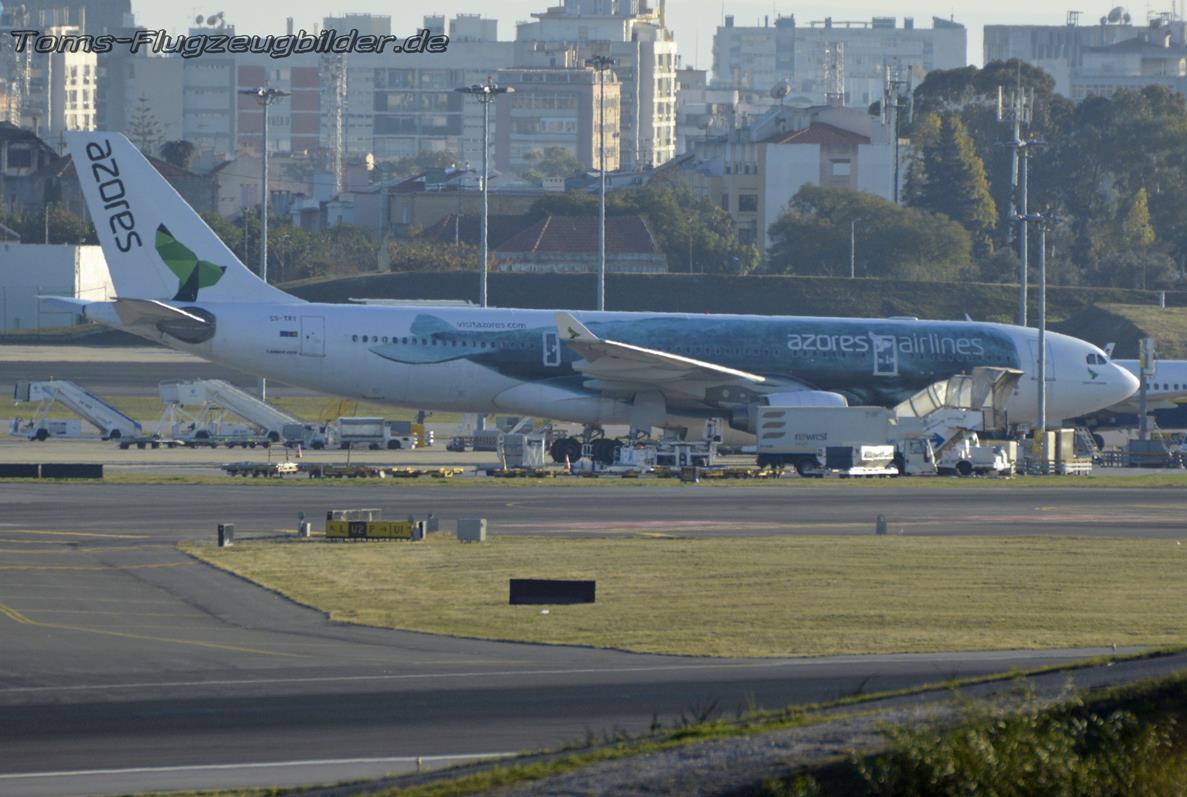 Azores Airlines CS-TRY  Sperm Whale Livery