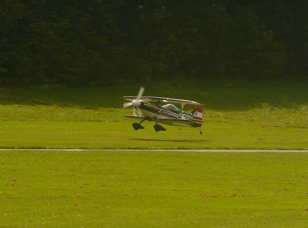 Pitts