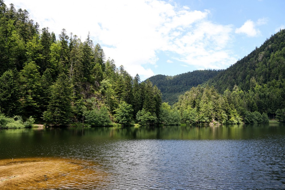 IMG_9575.JPG (542.13 KiB) 7476 mal betrachtet IMG_9575.JPG