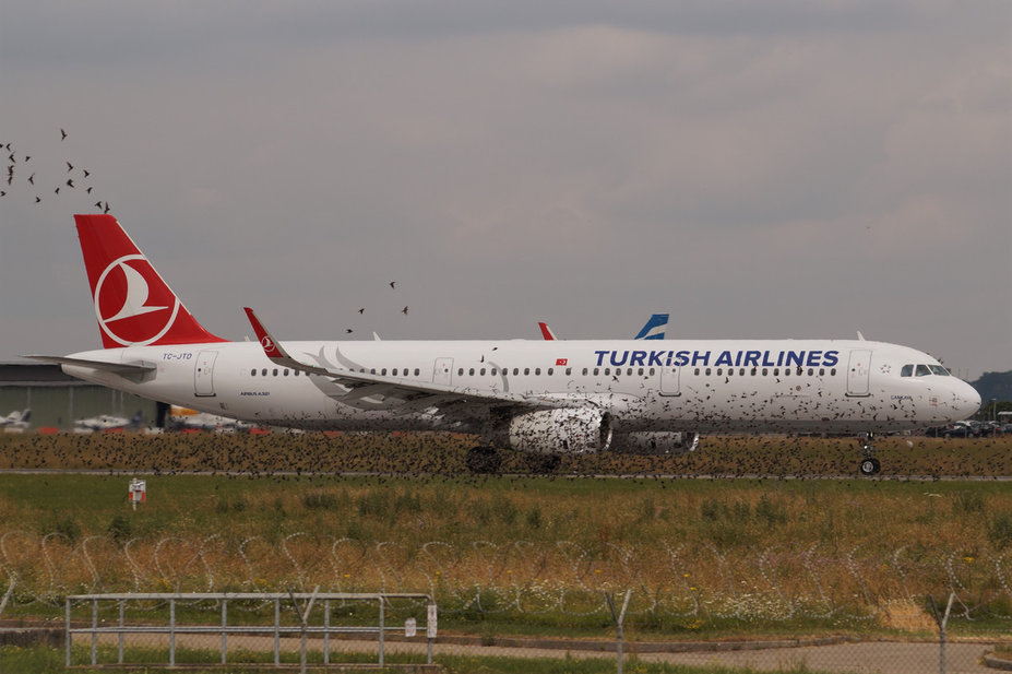 TC-JTD    A321-231    Turkish Airlines