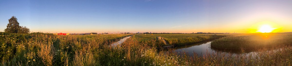 IMG_3096.jpg