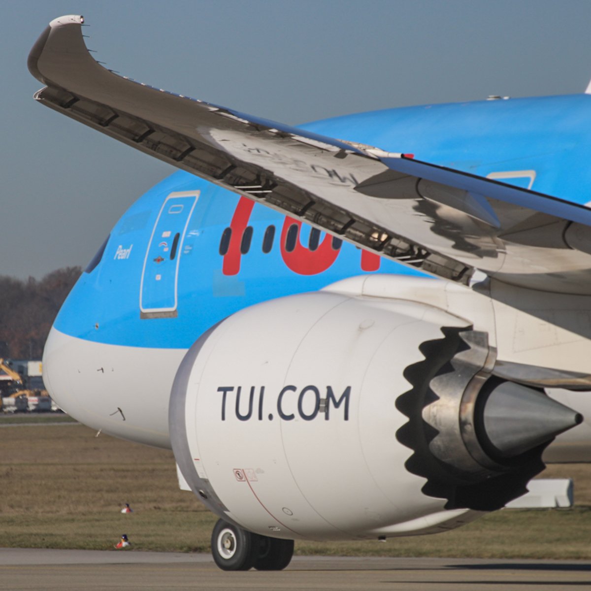 Closeup Under the wing