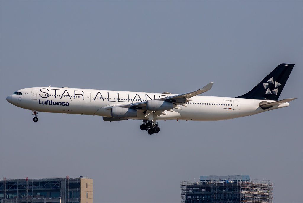 Lufthansa / D-AIGN / Airbus A340-313X