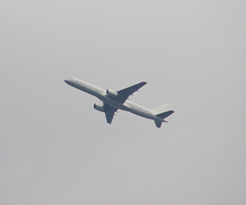 P51902642222.JPG