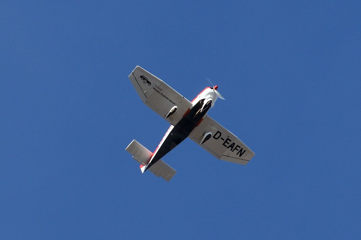 DSC_2993.jpg