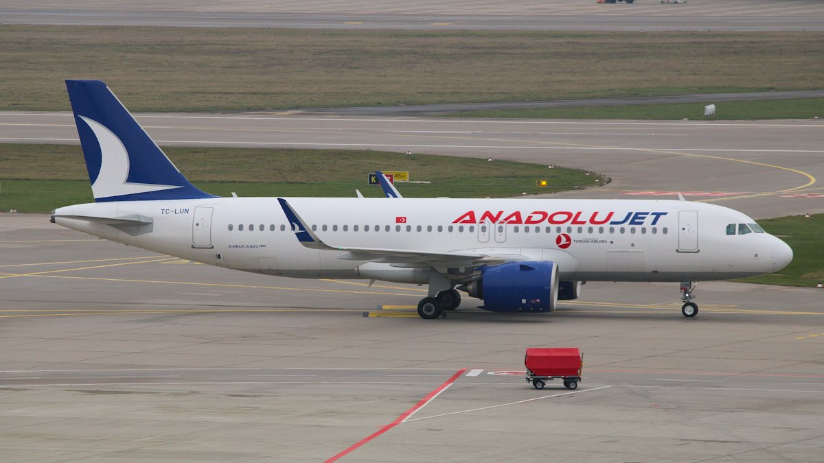 TC-LUN.jpg