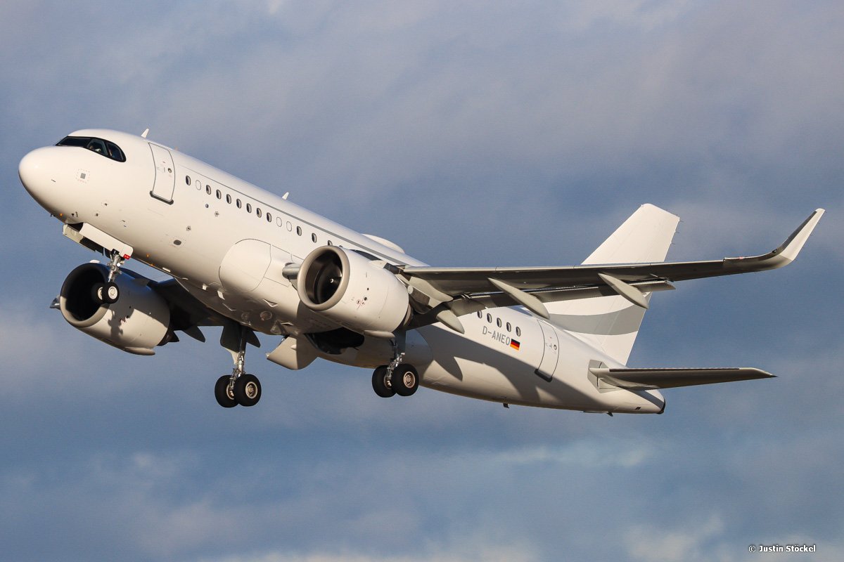 D-ANEO-3.jpg