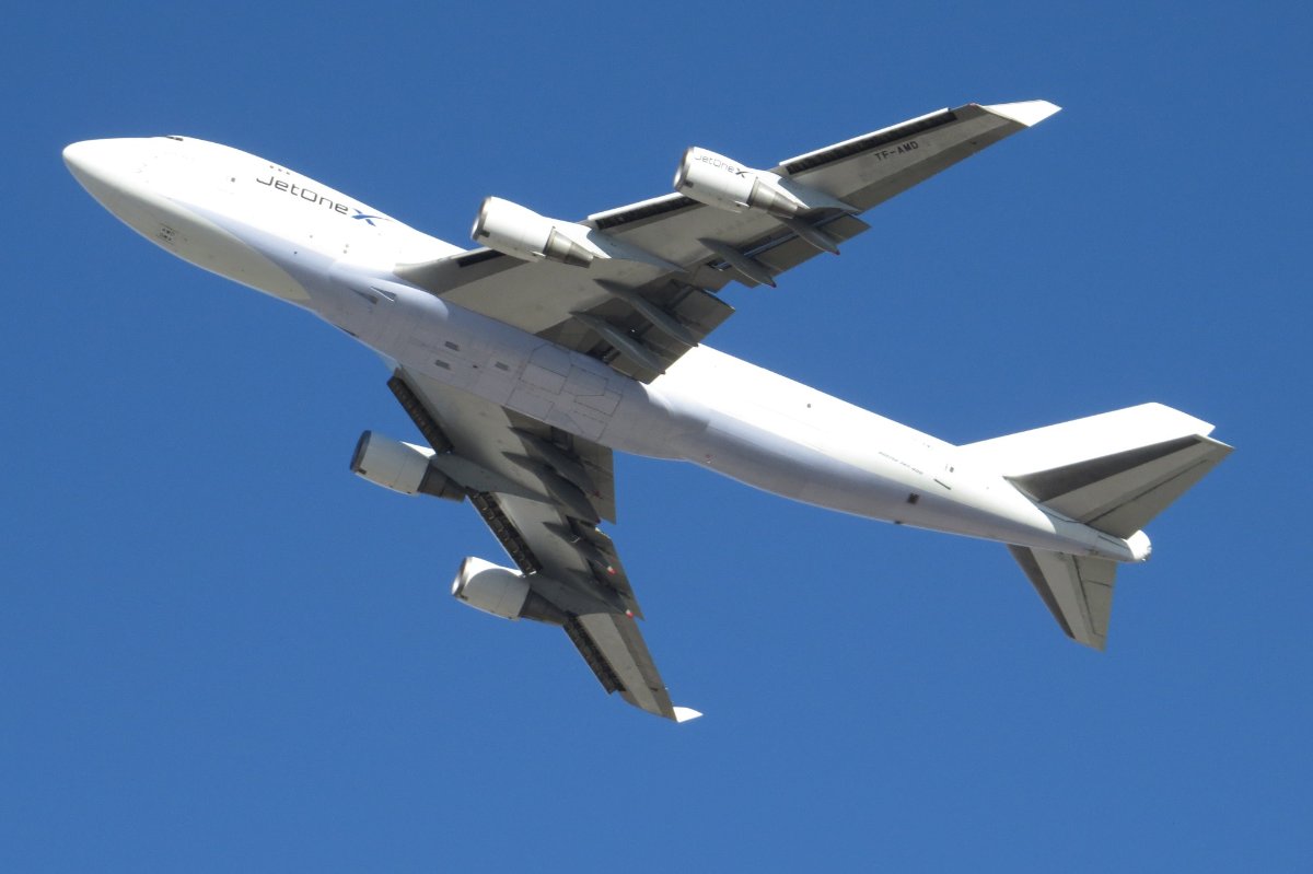 IMG_3177.JPG (1).jpg