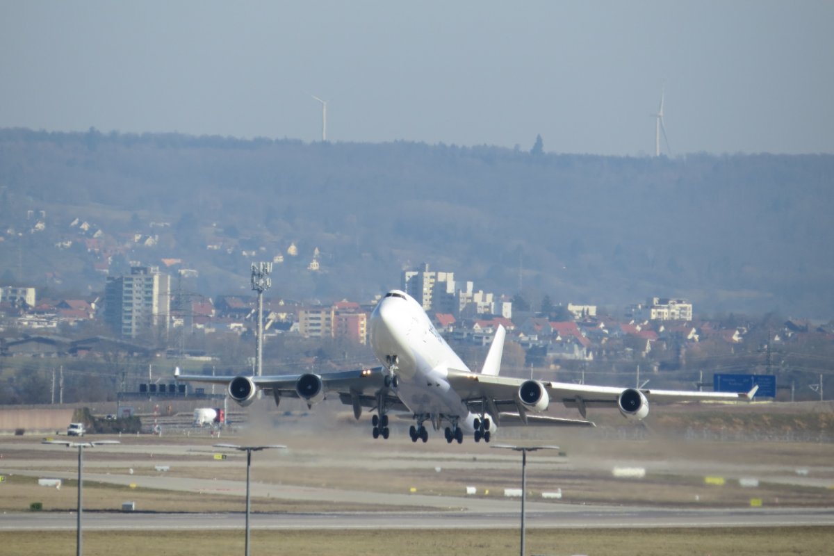 IMG_3162.JPG (1).jpg