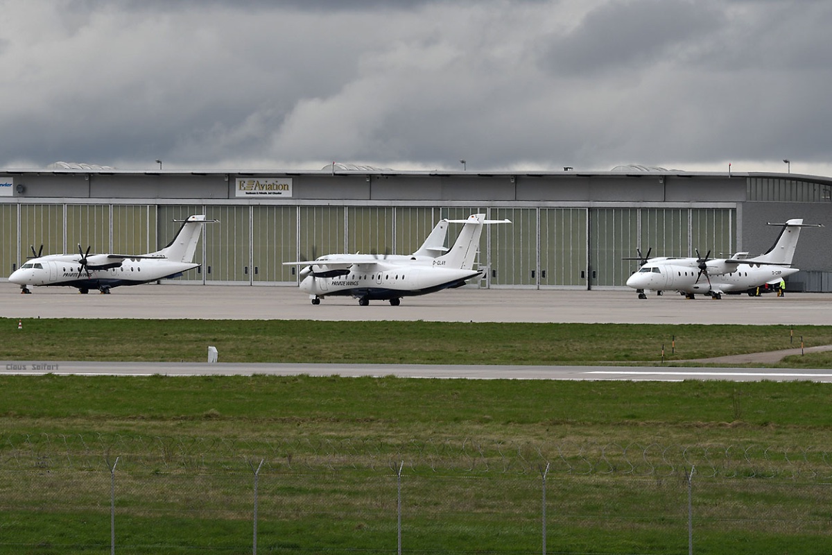 D-CITO D-CLAY D-CIRP.jpg