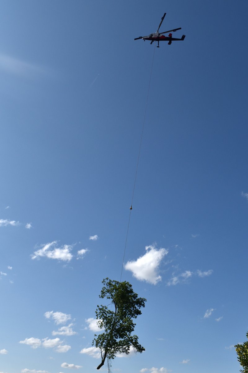 DSC_0032.jpg