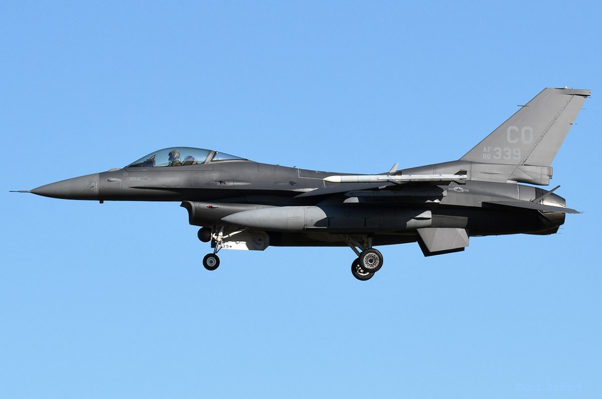 86-0339 .jpg