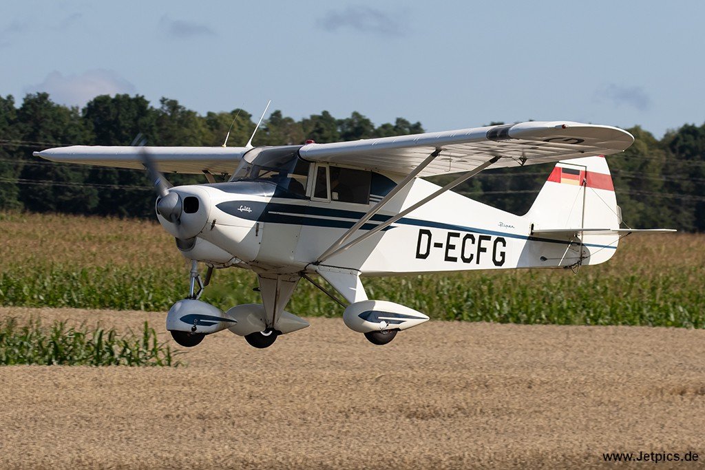 D-ECFG050823.jpg