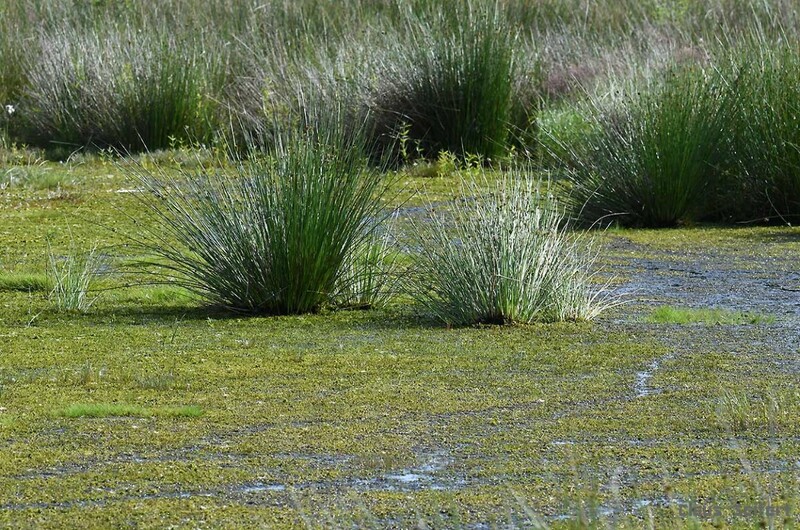 9992.jpg (393.26 KiB) 44283 mal betrachtet 9992.jpg