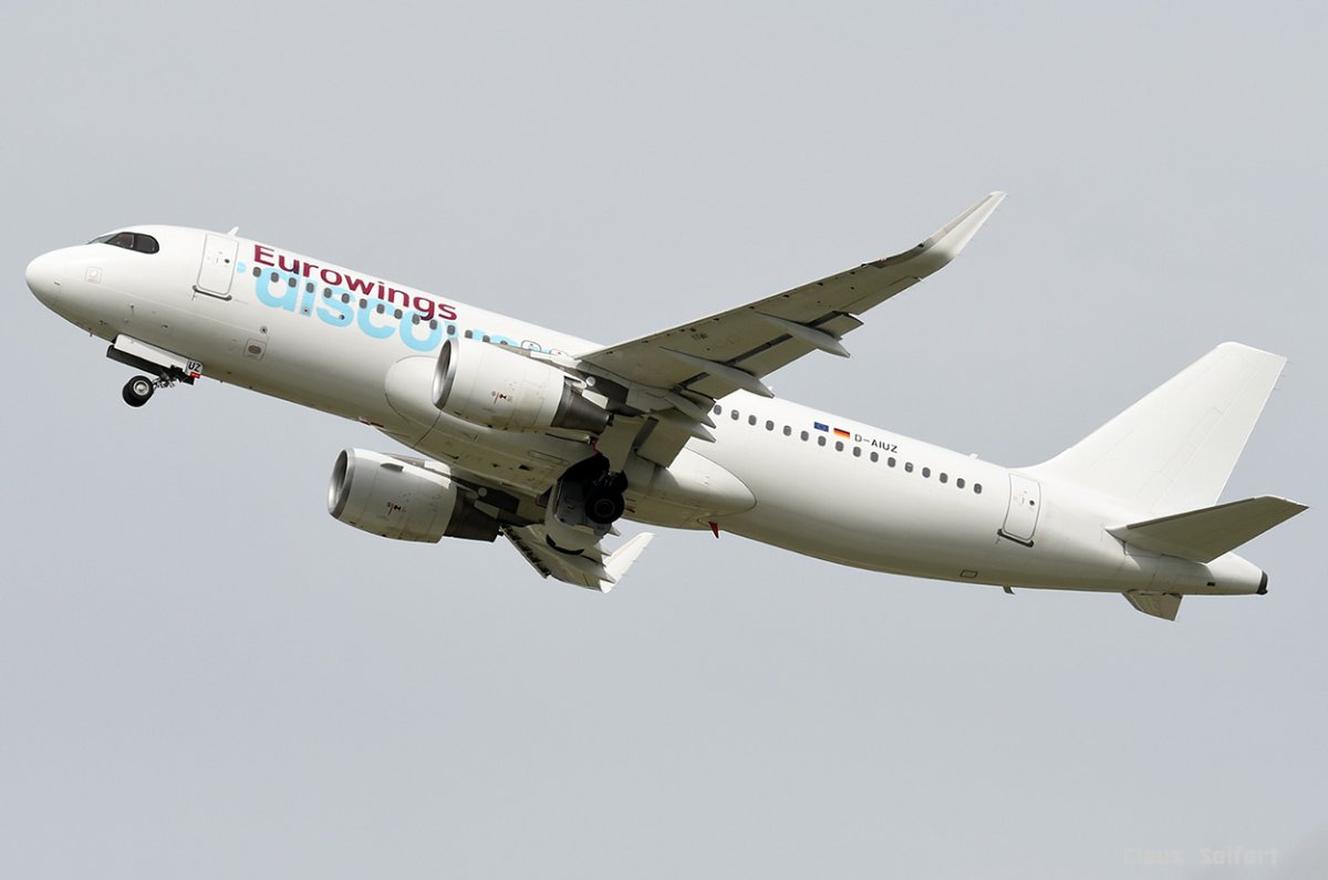 D-AIUZ .jpg