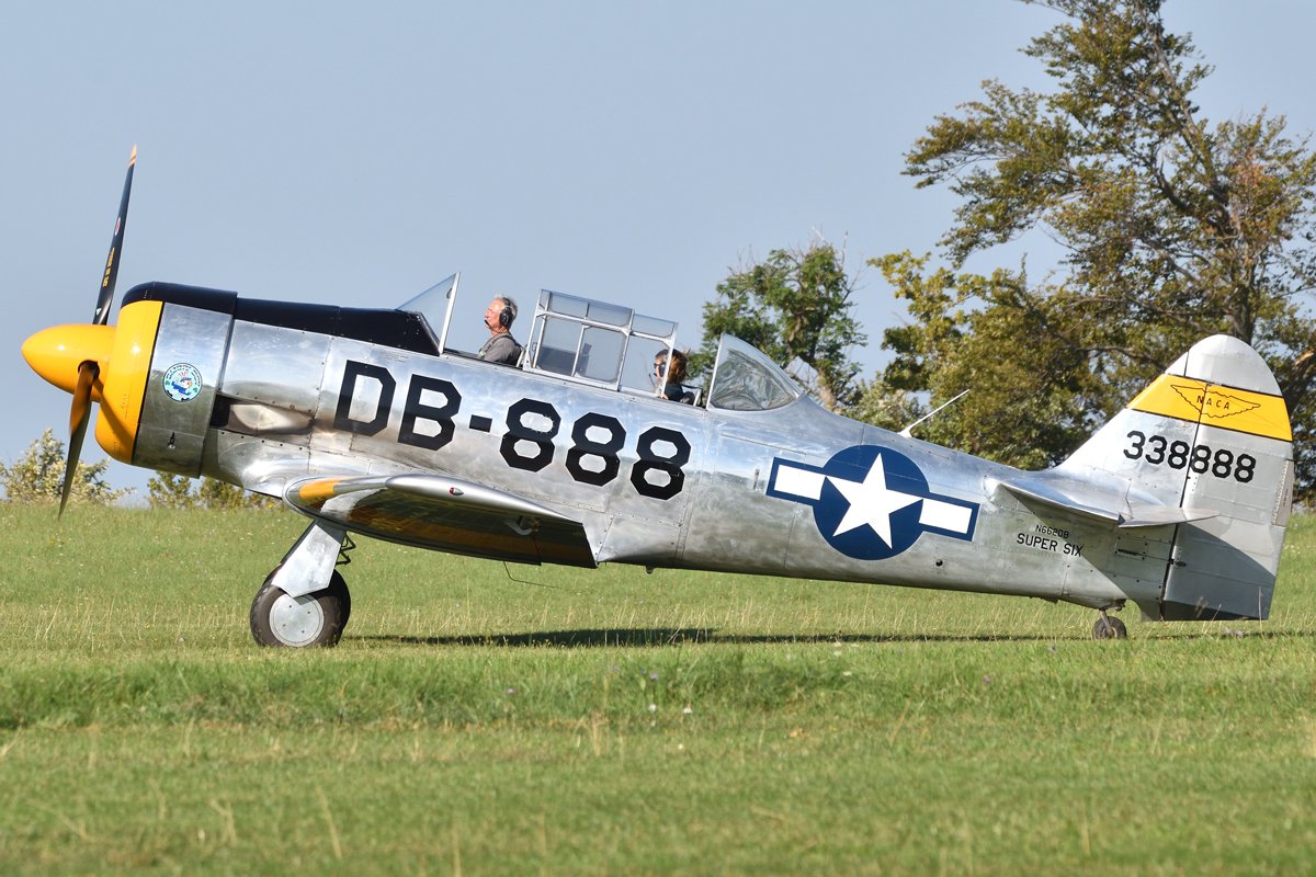 DSC_8975_01.jpg