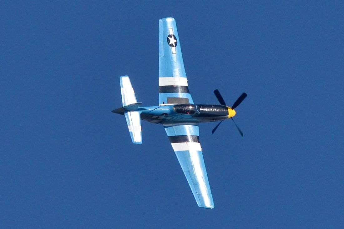 DSC_9036_01.jpg