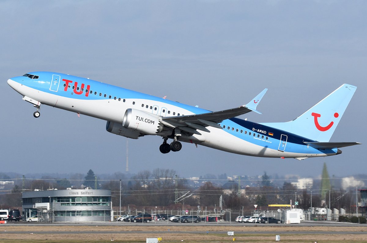 D-AMAD.jpg