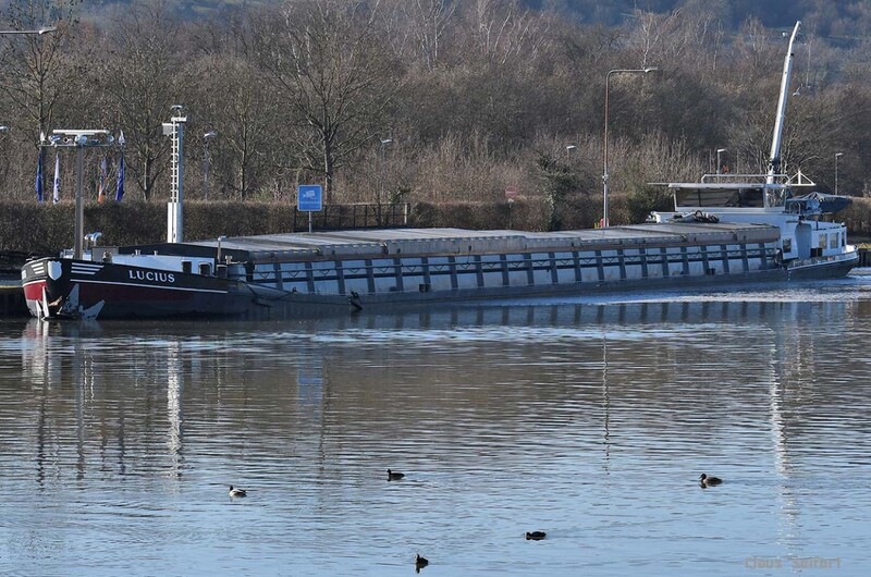 LUCIUS (02315216).jpg (461.88 KiB) 50046 mal betrachtet LUCIUS (02315216).jpg