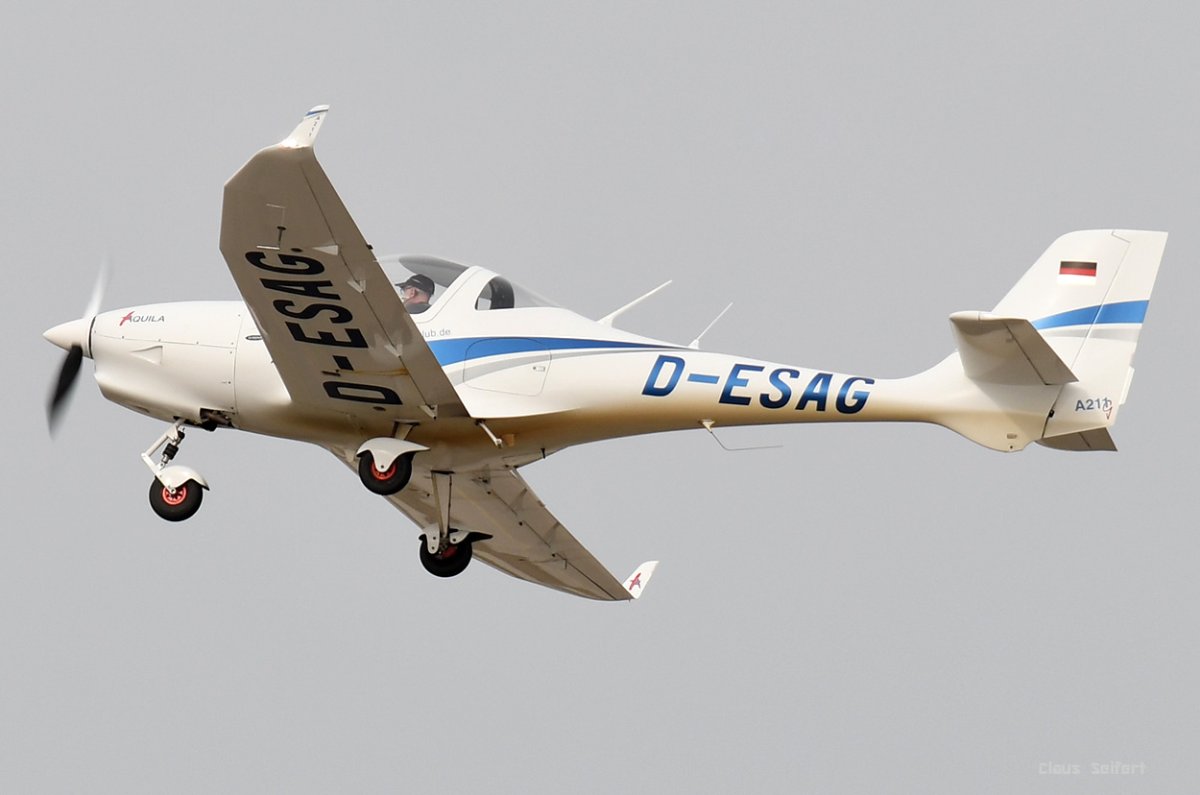 D-ESAG .jpg