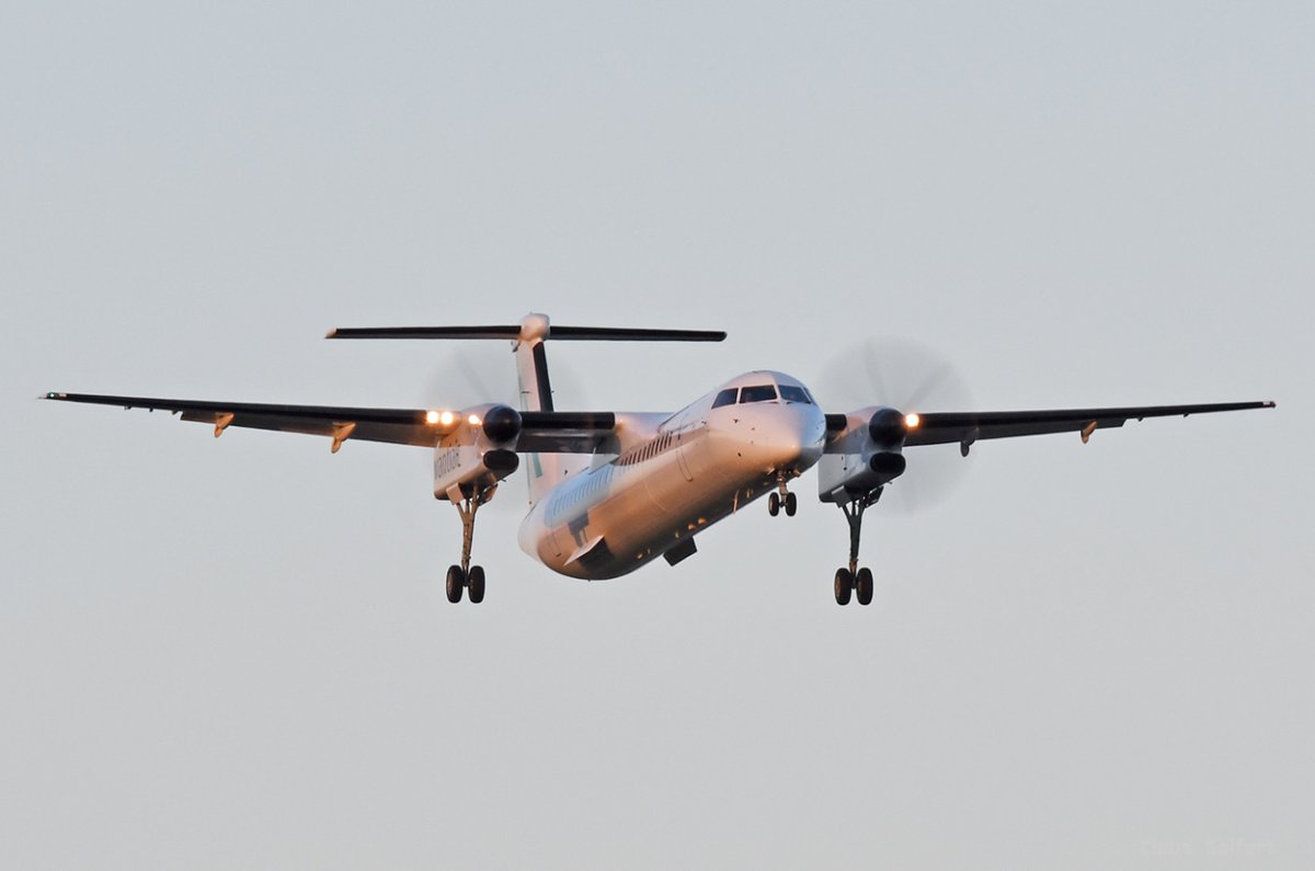 D-AASG.jpg