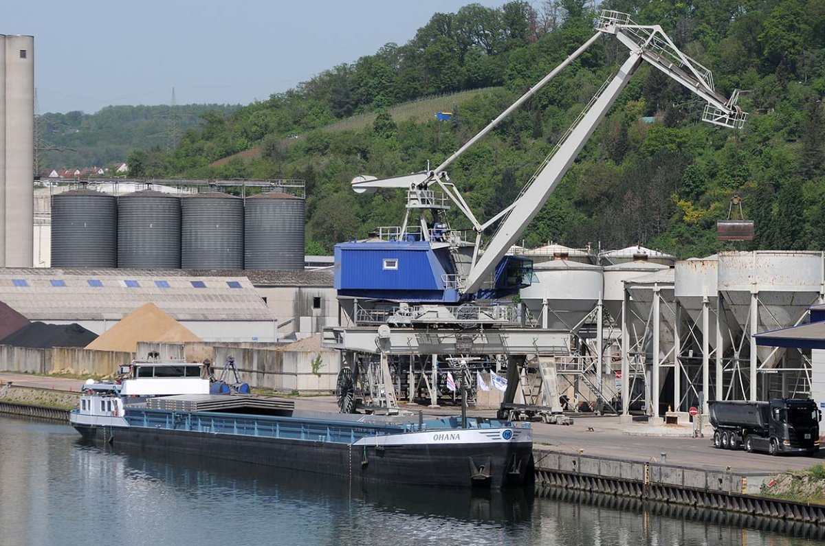 OHANA (205347990).jpg