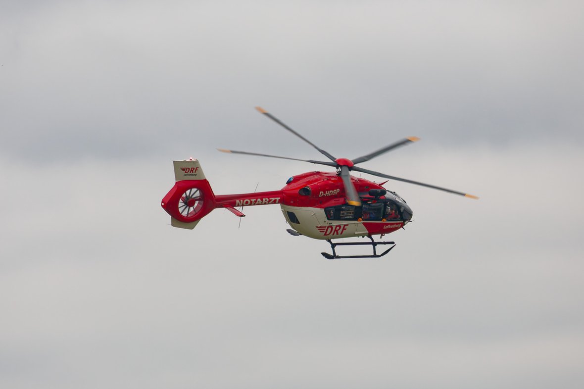 W26B3915_DxO_small.jpg