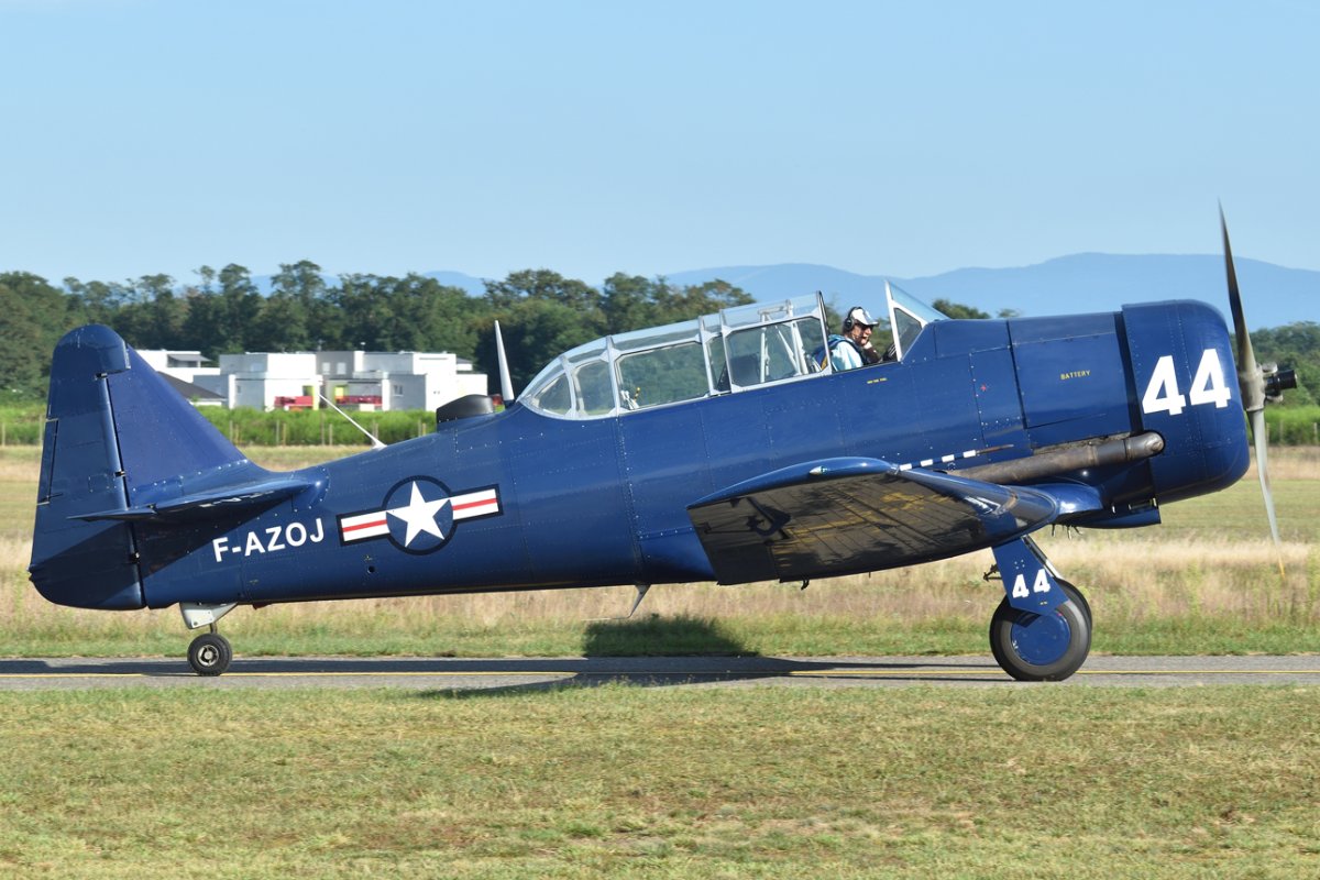 DSC_3328_02.jpg