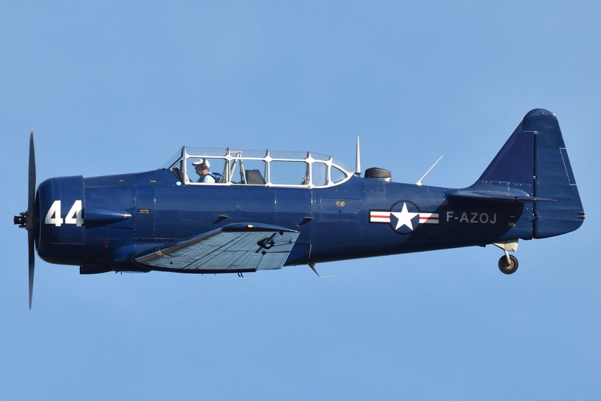 DSC_3405_02.jpg