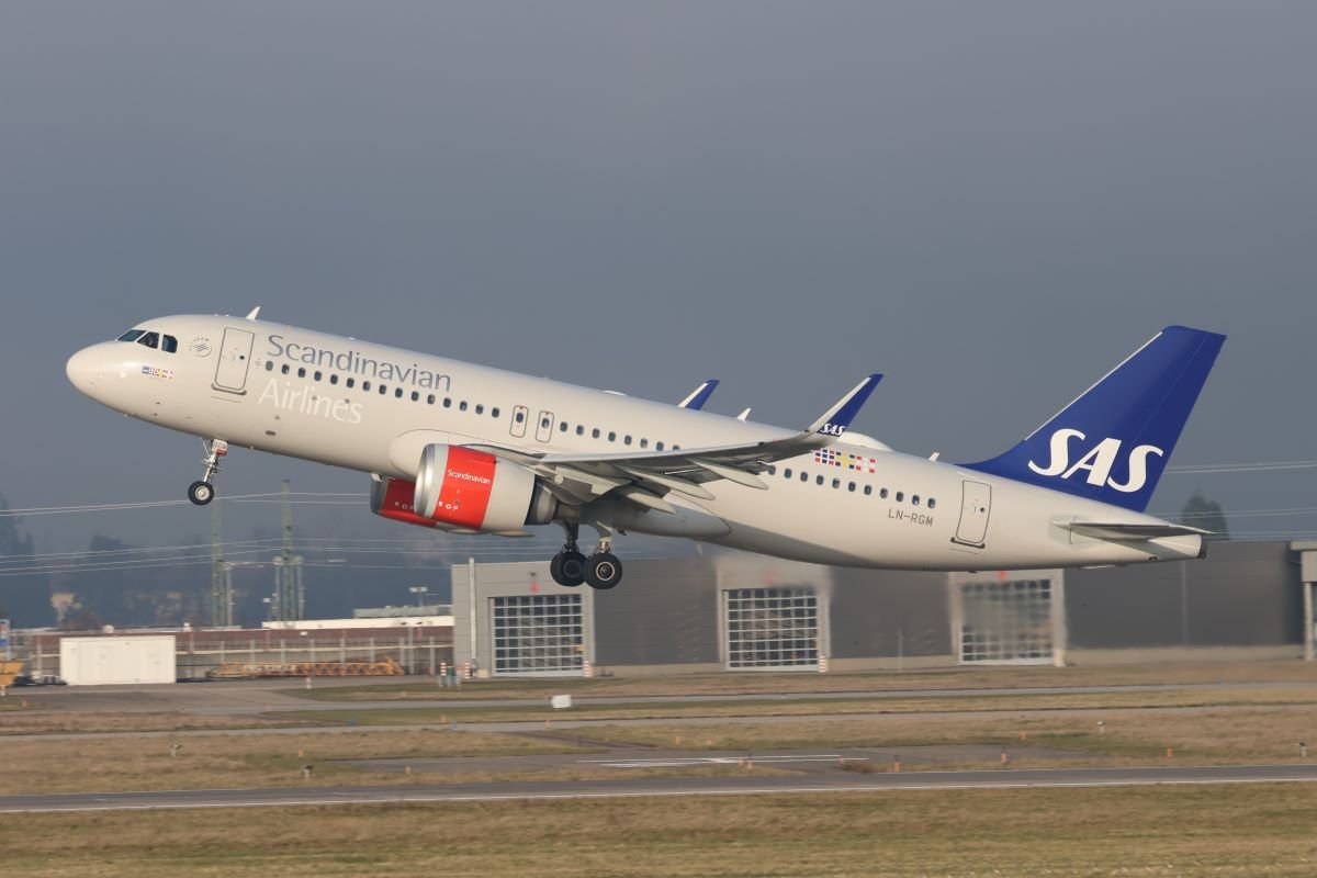 8S1A1346.JPG