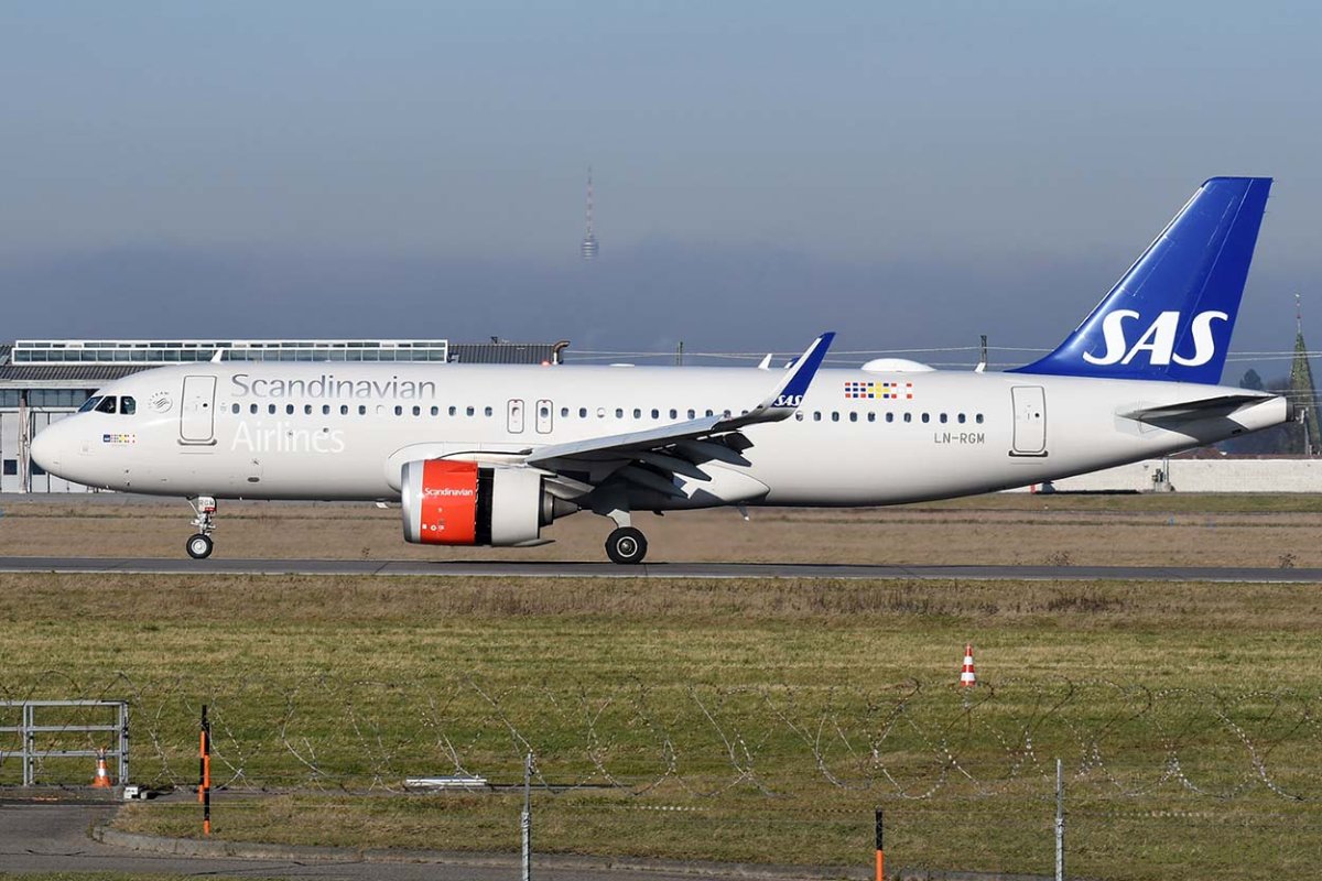 LN-RGM.jpg