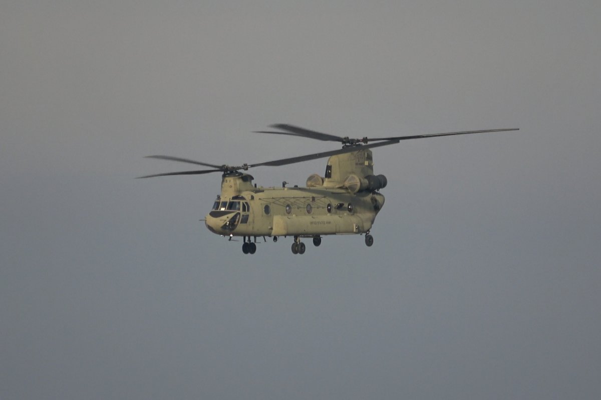 Plane Spotting 141 Paint 2-01~01.jpg