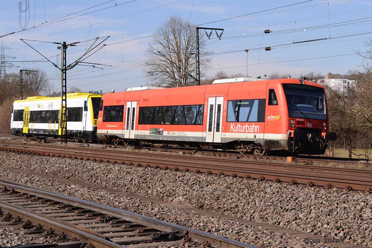 650 309-7 650 106-7.1.jpg