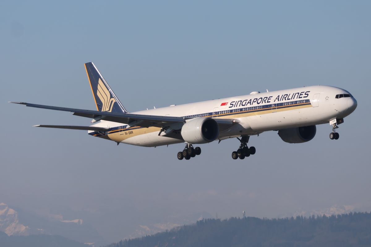 8S1A5224.JPG