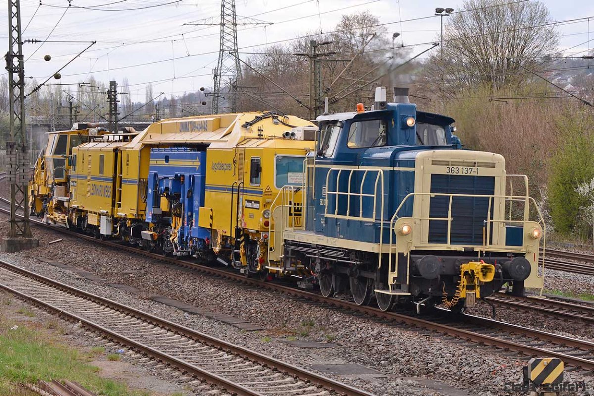 363 137-1.jpg