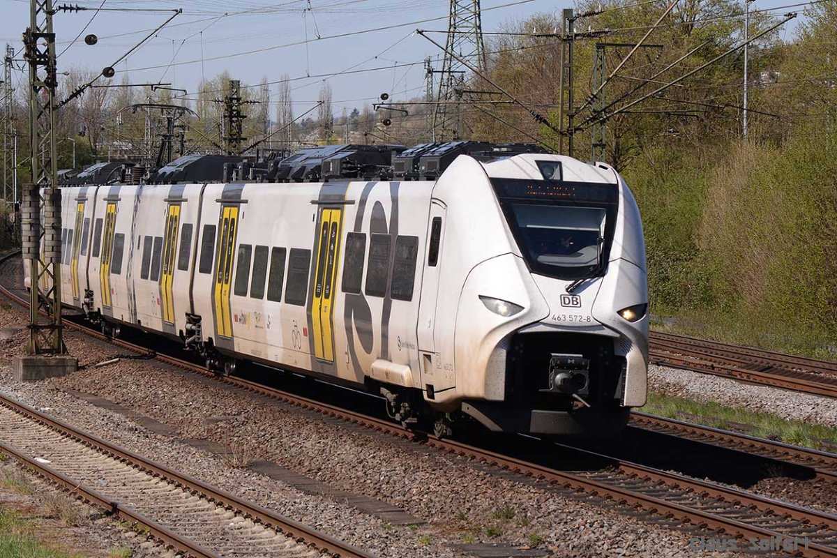 463 572.jpg