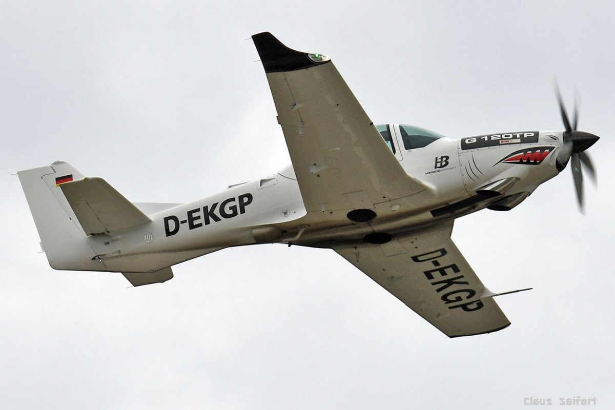 D-EKGP .jpg