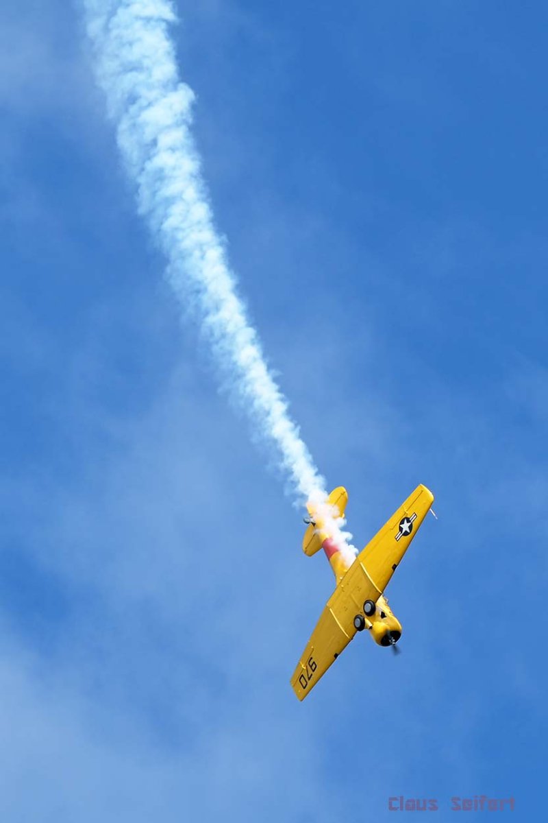 4622.jpg