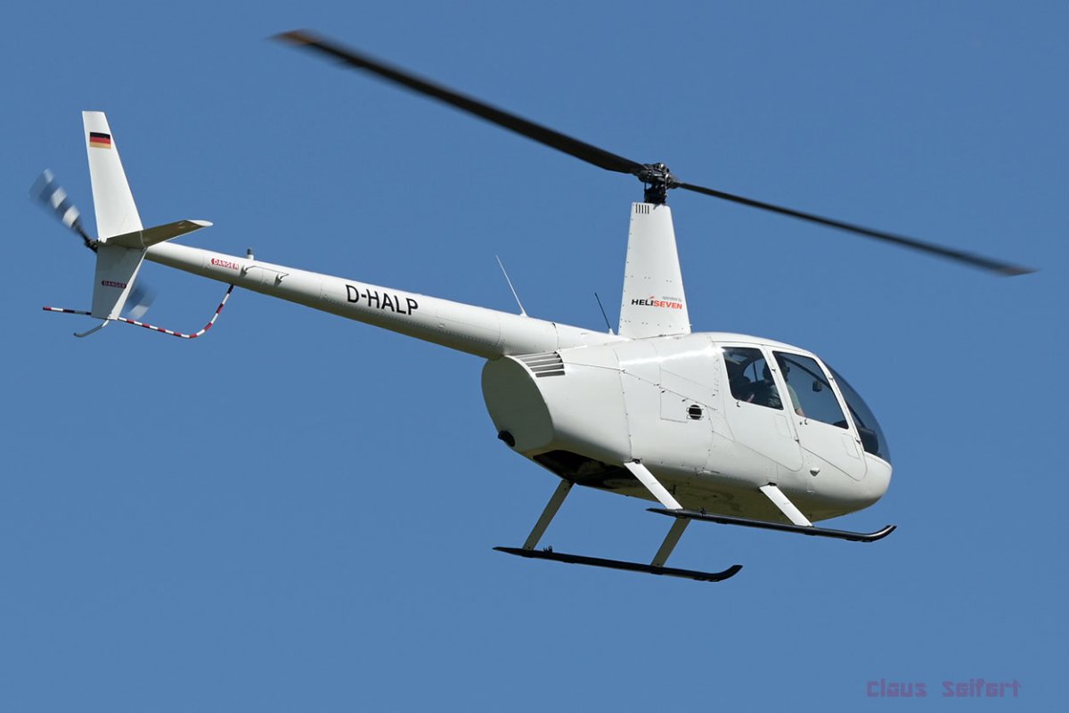 D-HALP.jpg