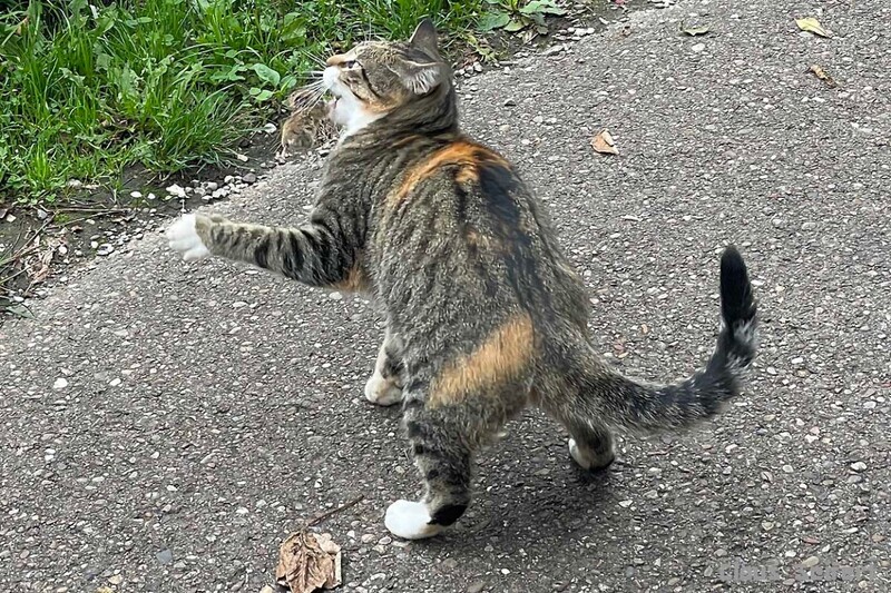 6457.jpg (436.44 KiB) 12559 mal betrachtet 6457.jpg