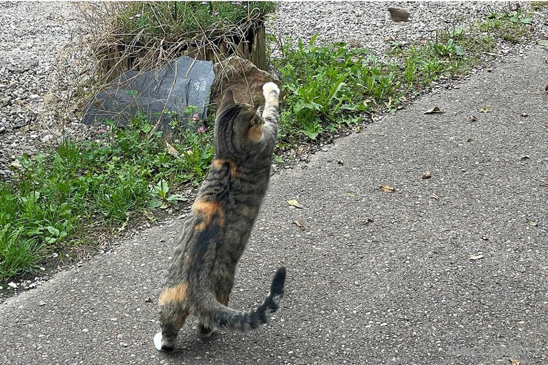 6458.jpg (491.95 KiB) 12565 mal betrachtet 6458.jpg