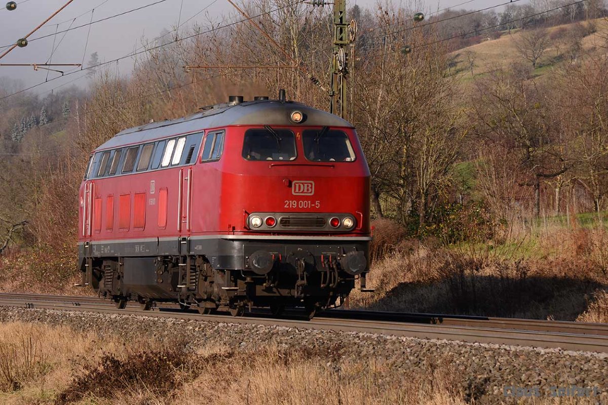 219 001-5.jpg