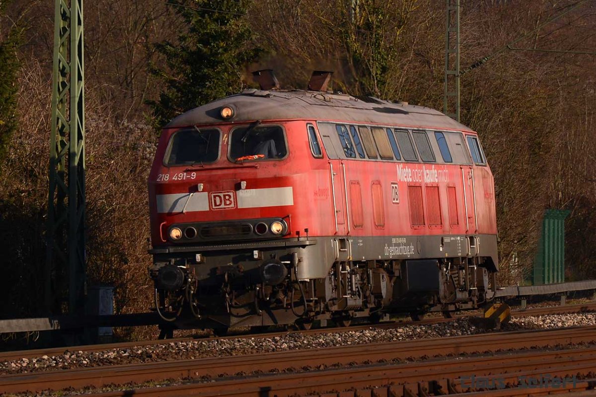 218 491-9.jpg