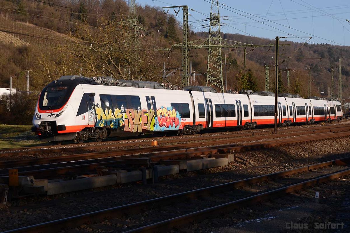442 919.jpg
