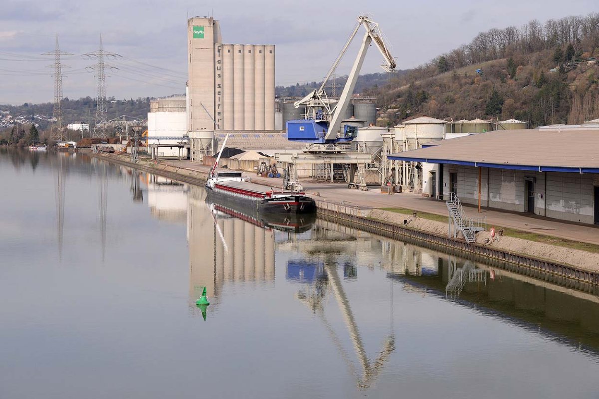 YOLANDE (244180941).jpg