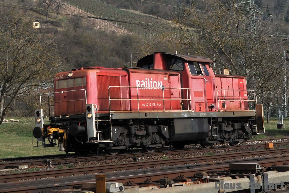 294 825-5.jpg