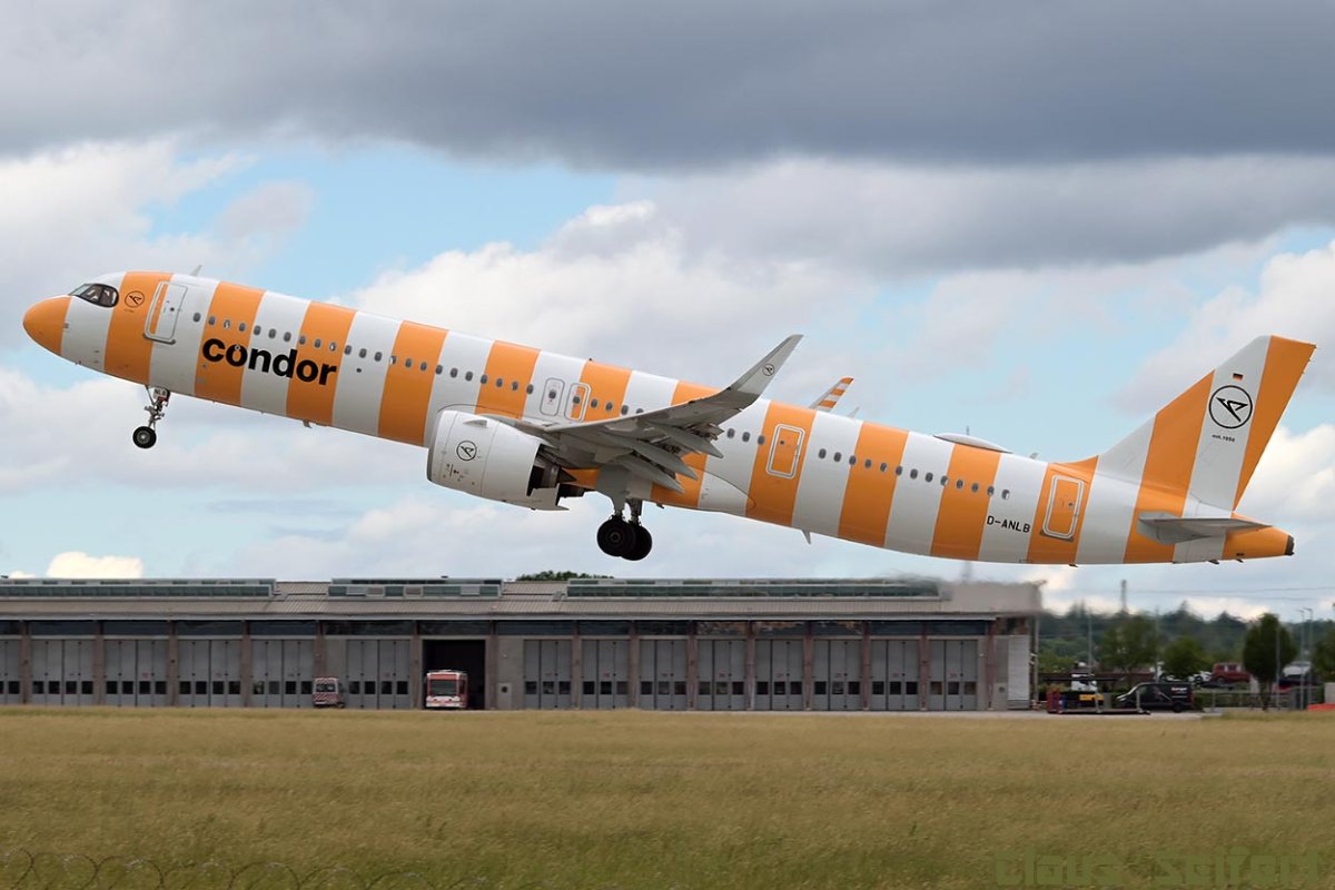 D-ANLB.jpg