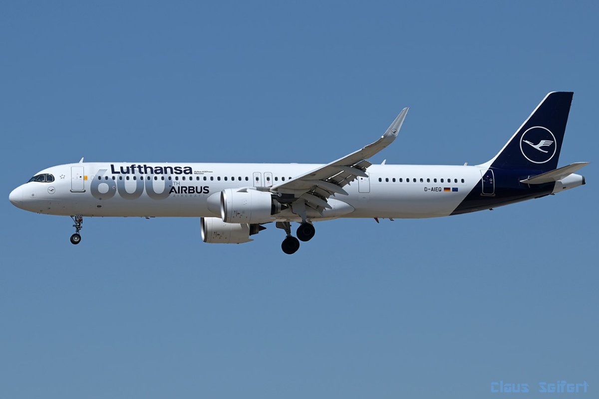 D-AIEQ.jpg